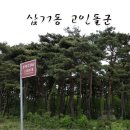삼거동 고인돌군 이미지