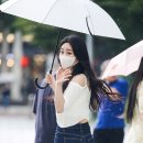 샤랄라 이미지