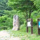 새삶 이미지