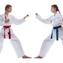 한국체대 MTA 태권도 이미지