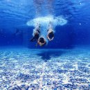 안성만물 이미지