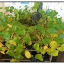 경상북도지정한우전문판매점 이미지