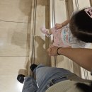 갈매동물병원 | 일기 : 구동명쾌유마사지, 목디스크, 인형뽑기, 오양식관, 남편이랑 남대문, 드디어 대학병원 첫진료