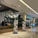 스타애견 이미지