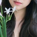 세종청사 미용실 이미지