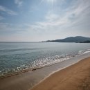 진하해수욕장 이미지