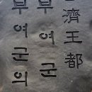 '아내 금 투자 사기' 사건에... 부여군의원 극단 선택 이미지