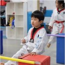 푸른태권도 | 아이들의 멋진 성장을 돕는 성인태권도: 푸른태권도의 특별한 가이드