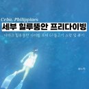 세부 22 : 더마크 힐루뚱안 프리다이빙 투어 스팟 소개 및 내돈내산 후기