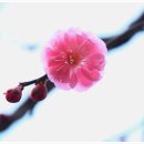 나의 소중한, 오늘 이미지