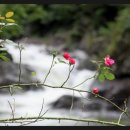 금곡농장 이미지