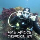제주도스킨스쿠버 방문 후기 제주가디언다이브 서귀포체험다이빙