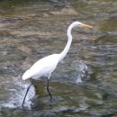 홍제천변길 이미지