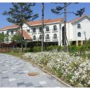 남한강 고운골 자연학습원 이미지