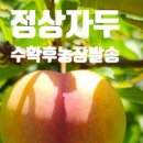 마리아 농장 이미지