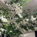 펫케아(PETKEA) | [내돈내산] 경기양주 애견카페 #펫케아