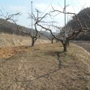 고경면-부리-1
