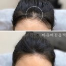 마음에 점을 찍다 이미지