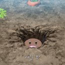 노벨의원 이미지