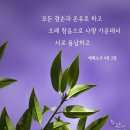 선한가르침