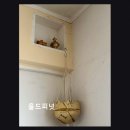 울산 남구 빈티지샵 올드피넛 친절과 품질, 다양함이 인상적