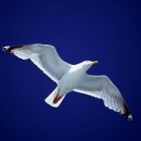 동경세탁 이미지