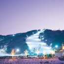 수안보이글벨리스키리조트 이미지