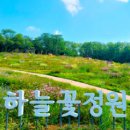 초안산 하늘꽃정원 이미지