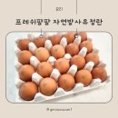 무항생제 계란, 프레쉬팡팡 자연방사 유정란 후기