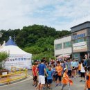 무궁화관광 (주) Daum카페