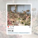 르노삼성자동차서비스코너천호점 | [천호 웨딩홀/송파 웨딩홀 견적 공유] 서울 강동구 천호 라비니움 웨딩홀 2026년 상반기 웨딩 견적 예산...