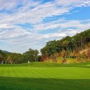 영동 일라이트CC 이미지