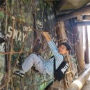 (주)이스트허브 | [똑띠가족 시드니여행 Day 2] 인터콘티넨탈 조식 / 페리타고 타롱가주 / 하루종일 동물원 투어한 날