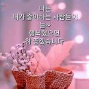 수지상사 이미지