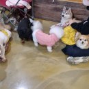 포포앤미루 강동점 이미지