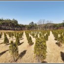 택수목장 이미지