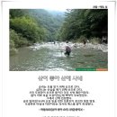 산에사네 이미지