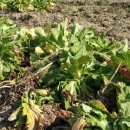 김정태 농장 이미지