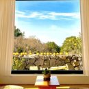 더포레스트하소로 이미지