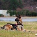 김용빈농장 이미지