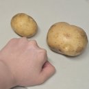 권복순농장 네이버블로그