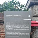 가나떡방앗간 | 군산 맥심골목, 맥심거리 팝업스토어 + 수산물 종합센터 다녀온 후기