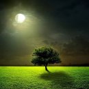 푸른초원 이미지