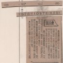 미도파 Daum카페