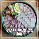 양산 횟집 추천 - 회, 해산물이 맛있는 범어맛집 회마카세 해무 후기
