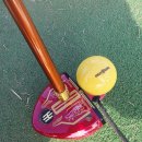 판테온 | 중.상급자 및 전문가용 프리미엄 파크골프채의 귀족 판테온 S70 시타 후기