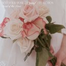 유어스프링 이미지