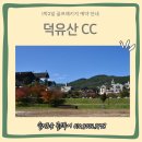 무주골프
