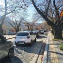 동학사삼거리~계룡시 경계 | 충남 공주 갈만한곳 가을산행 동학사 계룡산 단풍 절정