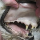 순수동물병원 이미지